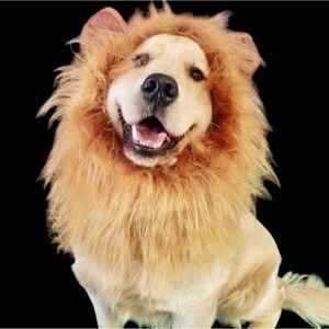 NWT Lion’s Mane Halloween Costume For Dogs Size XS/S